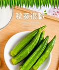 Dry Okra 100G